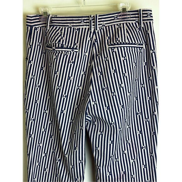 Anthropologie Essential Slim blue and pink striped pants size 12 - Picture 8 of 12
